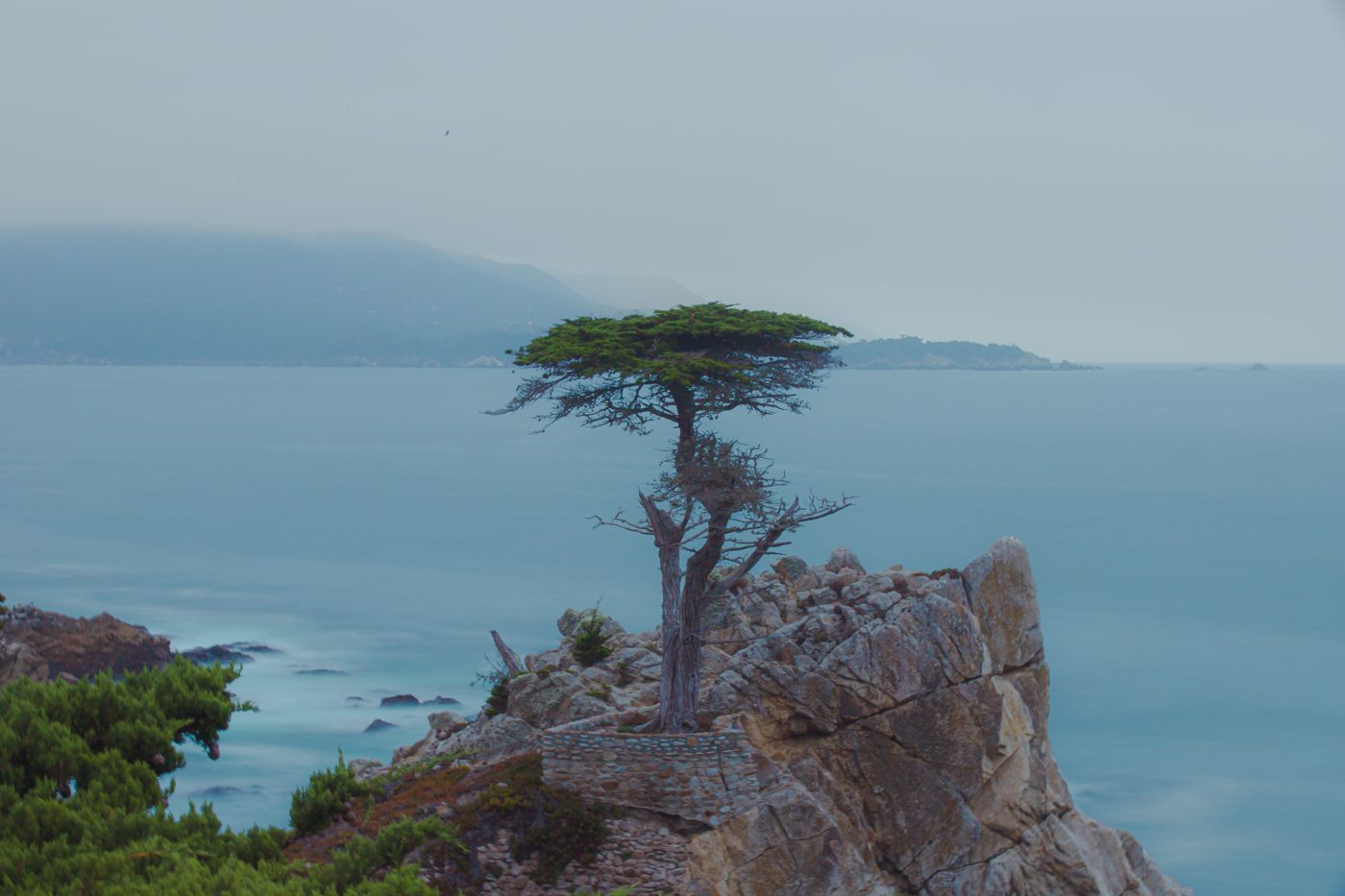 Lone cypress tree on a rocky point above misty blue water
