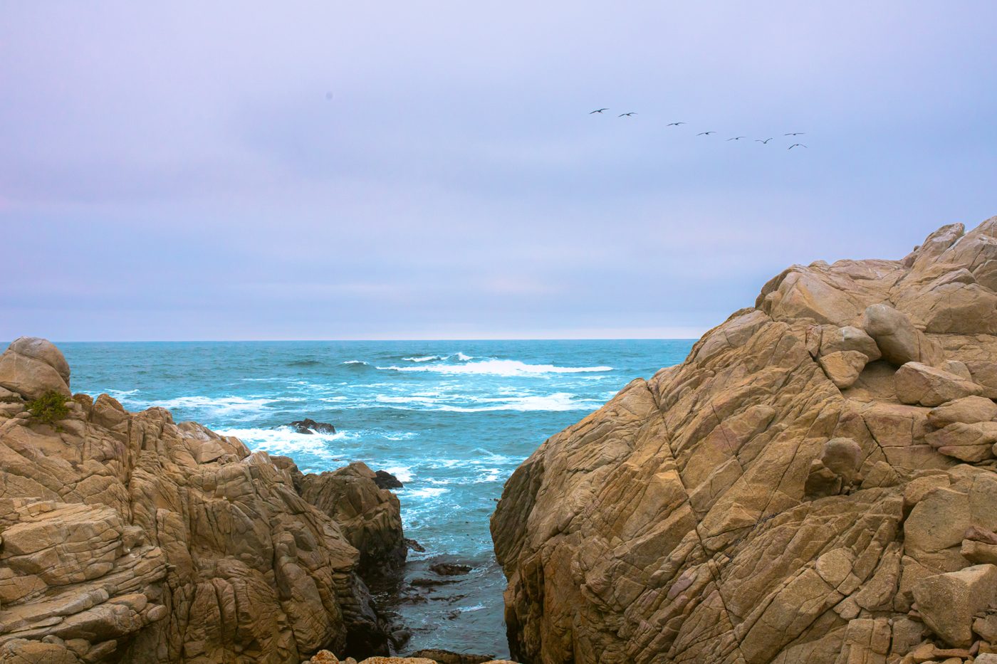 Turquoise surf between two rock faces with pelicans flying overhead